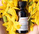 arnica oil